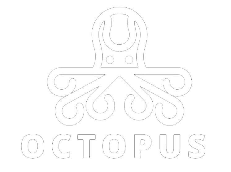 Footer Logo