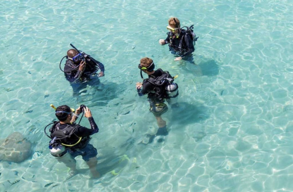 A Peaceful Escape on the Dimaniyat Island Tour