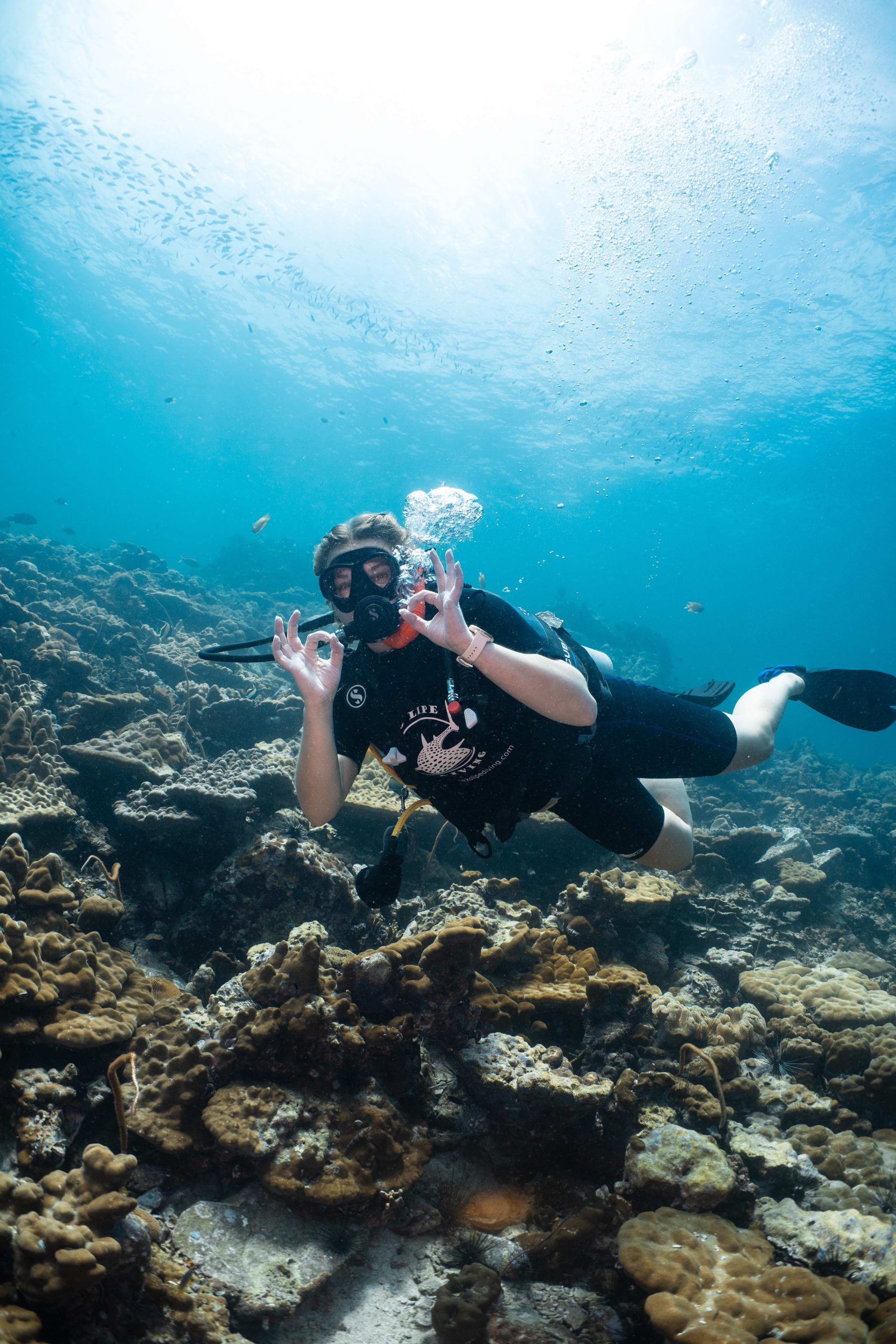 Snorkeling the Daymaniyat Islands: My Most Peaceful Morning in Oman