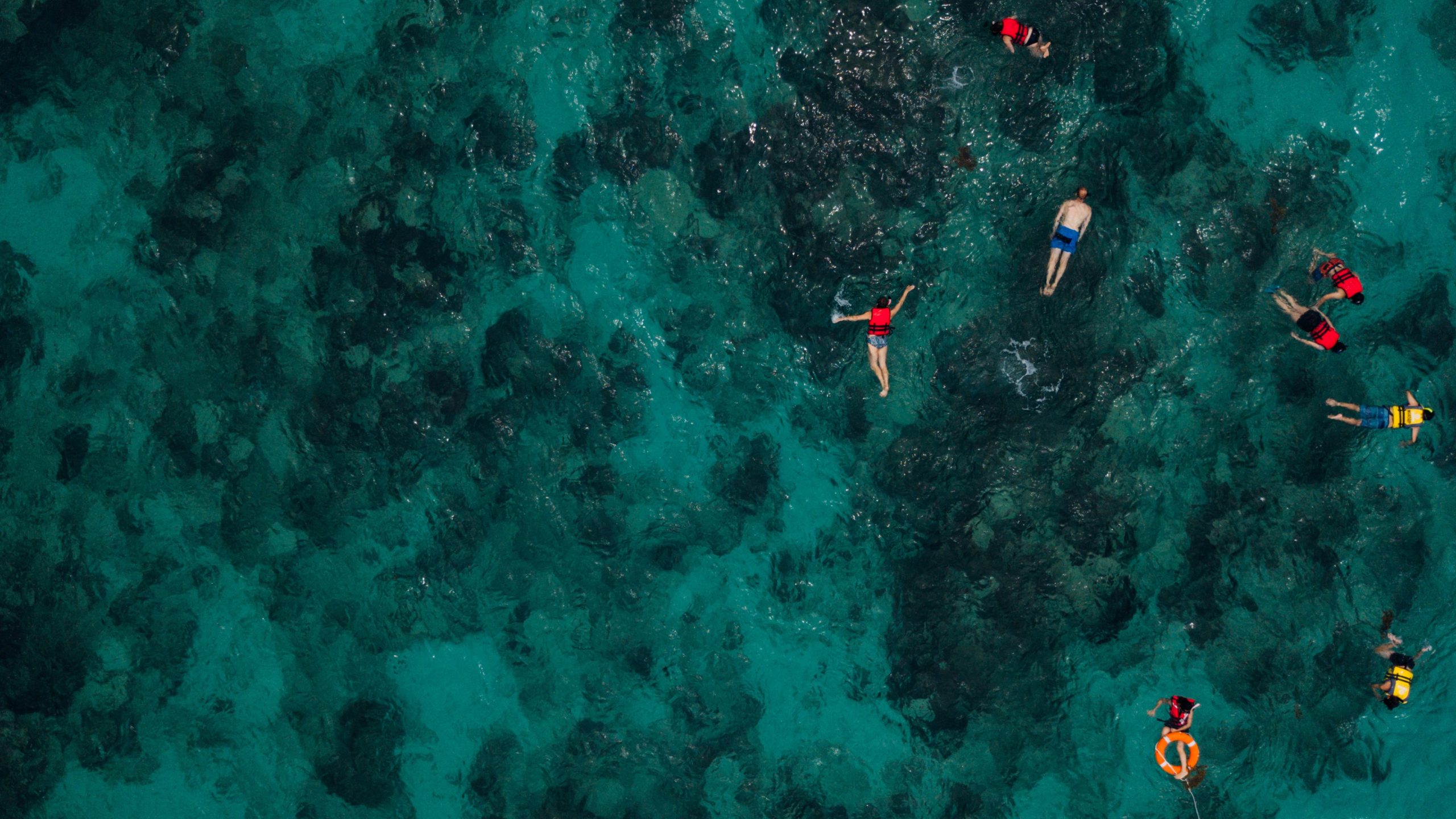 Joining a Dimaniyat Island Tour: A Traveler’s Honest Experience