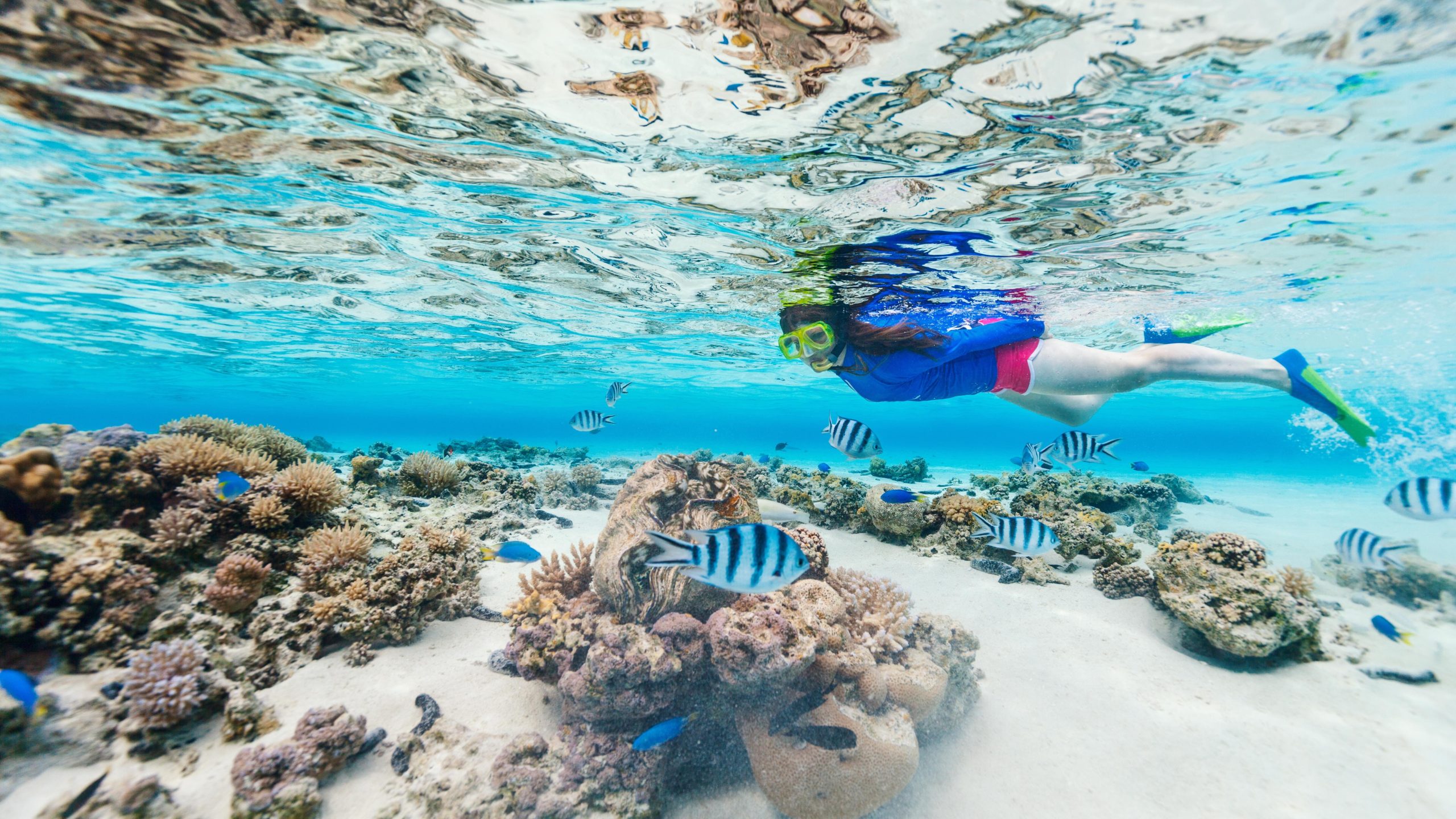 Snorkeling the Daymaniyat Islands: My Most Peaceful Morning in Oman