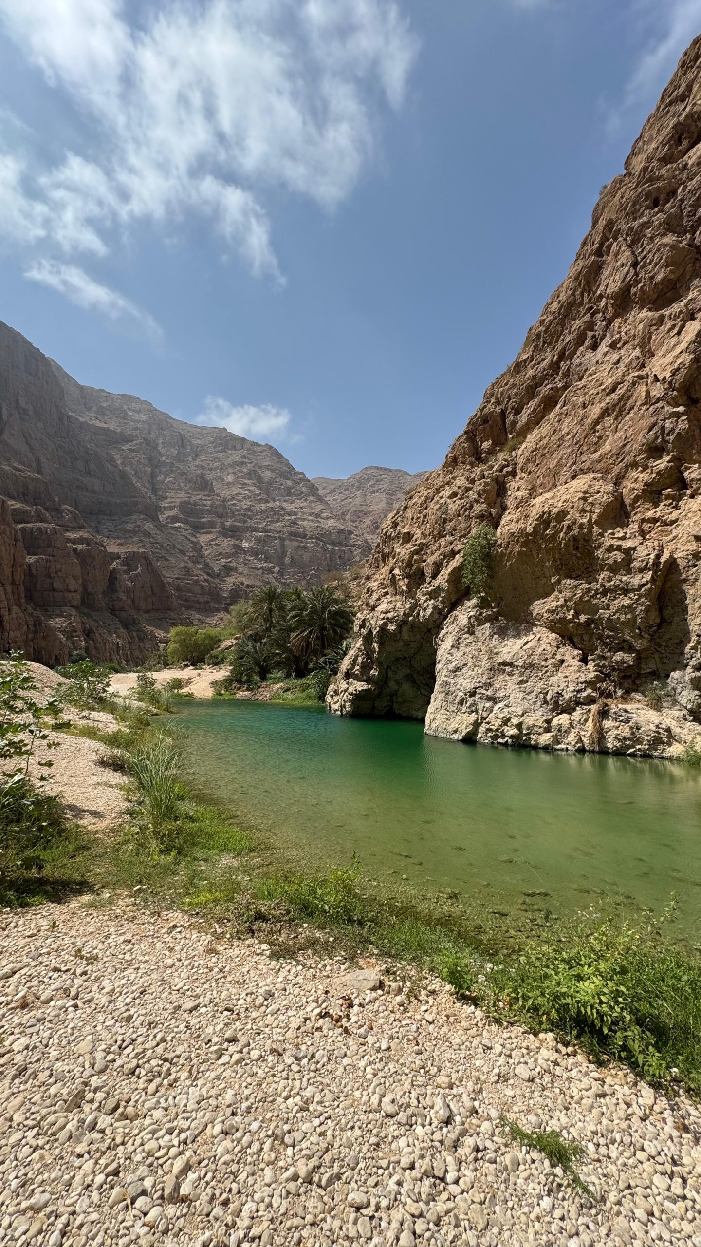 Responsible Snorkeling with Turtles Oman: Ecotourism Checklist