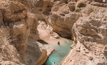 My Unforgettable Daymaniyat Islands Snorkeling Experience with Octopus Oman