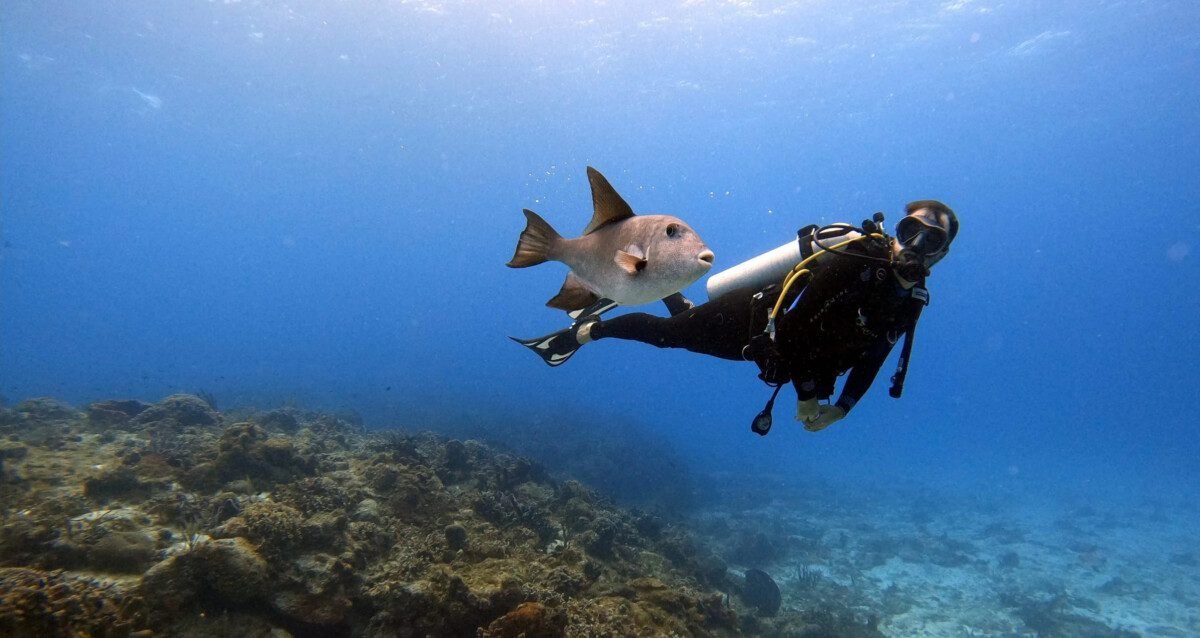 Daymaniyat Islands diving