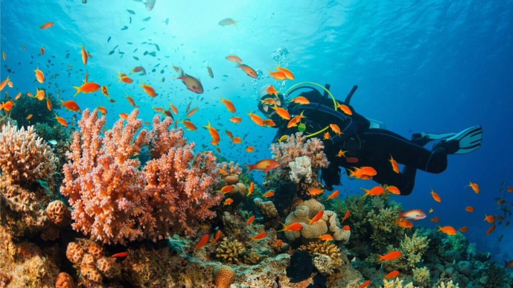 private tours muscat oman