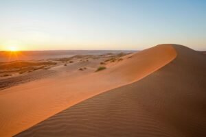Wahiba Sands in Oman with golden sand dunes at sunset