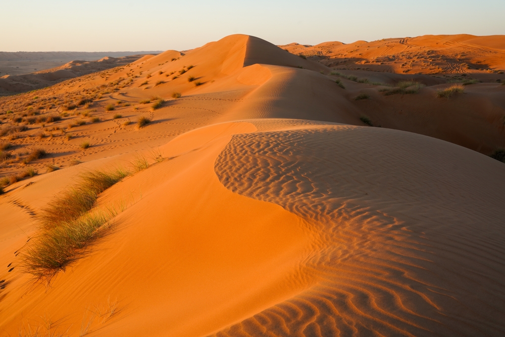 Wahiba Sands desert landscape in Oman