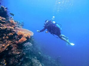 A scuba diver exploring the underwater environment