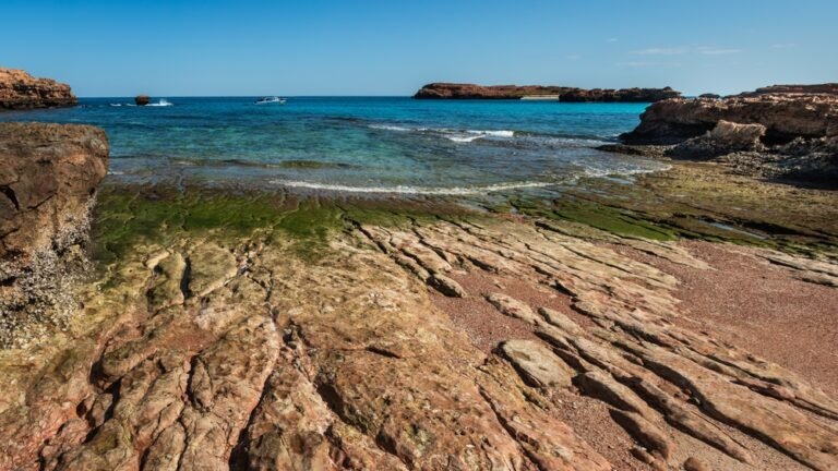 Daymaniyat Islands tour from Muscat Oman