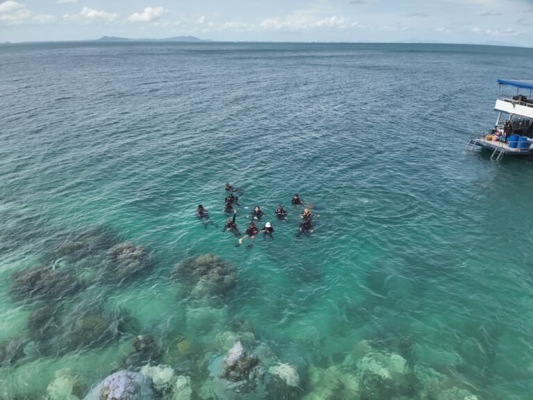 Snorkeling tour in Oman with boat and snorkelers