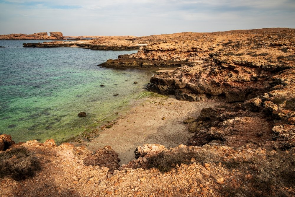 daymaniyat-islands-snorkeling-oman