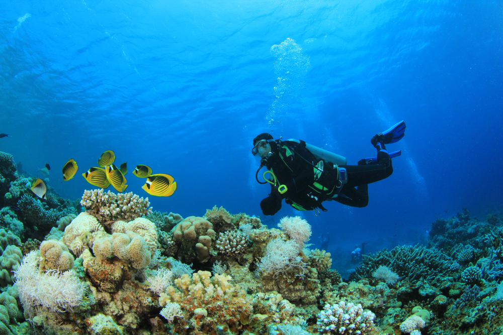 Scuba diver exploring the underwater world of the Daymaniyat Islands in Oman
