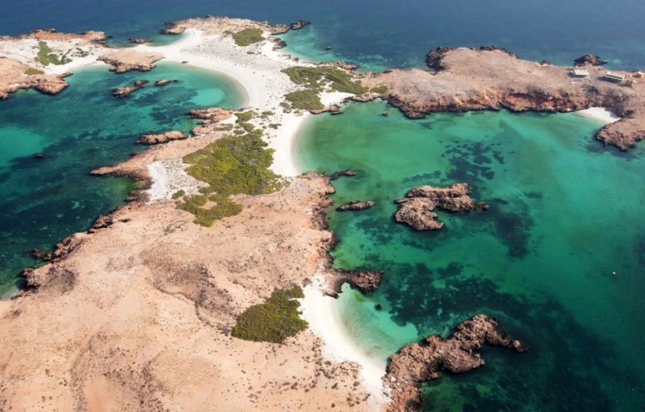 Daymaniyat Islands snorkeling in Oman