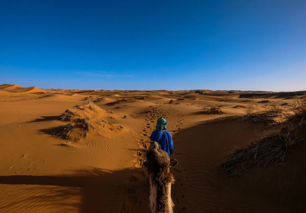 wahiba sands & wadi bani khalid tour