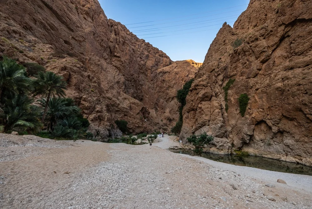  Rocky canyon with towering reddish-brown cliffs, palm trees, and a shallow stream along a gravel path.