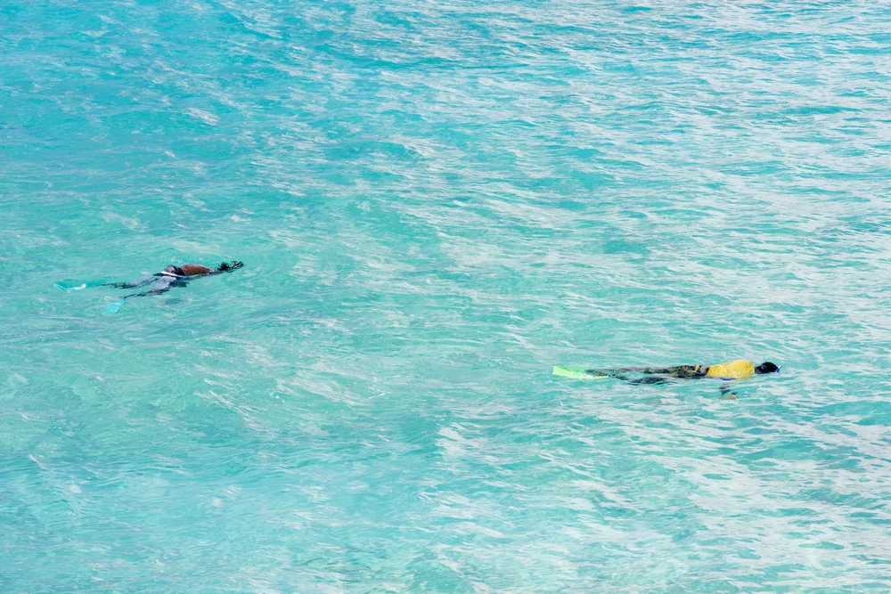 Snorkeling in Muscat at the Daymaniyat Islands