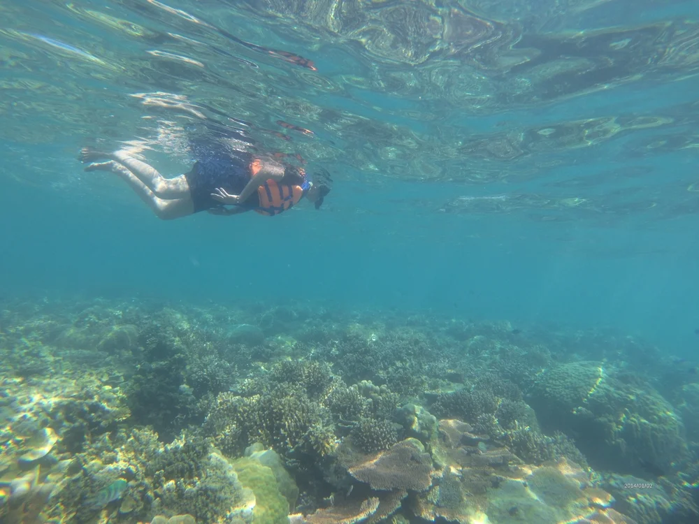 Snorkeler exploring marine life at Daymaniyat Islands