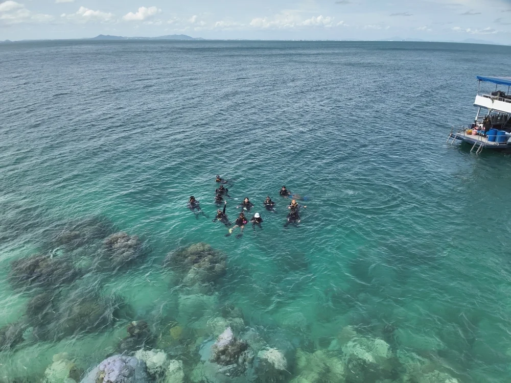 Snorkeling tour in Oman with boat and snorkelers