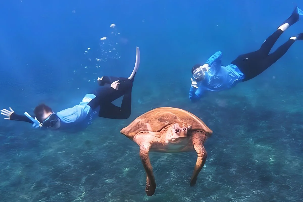 Snorkelers exploring the clear waters of the Daymaniyat Islands